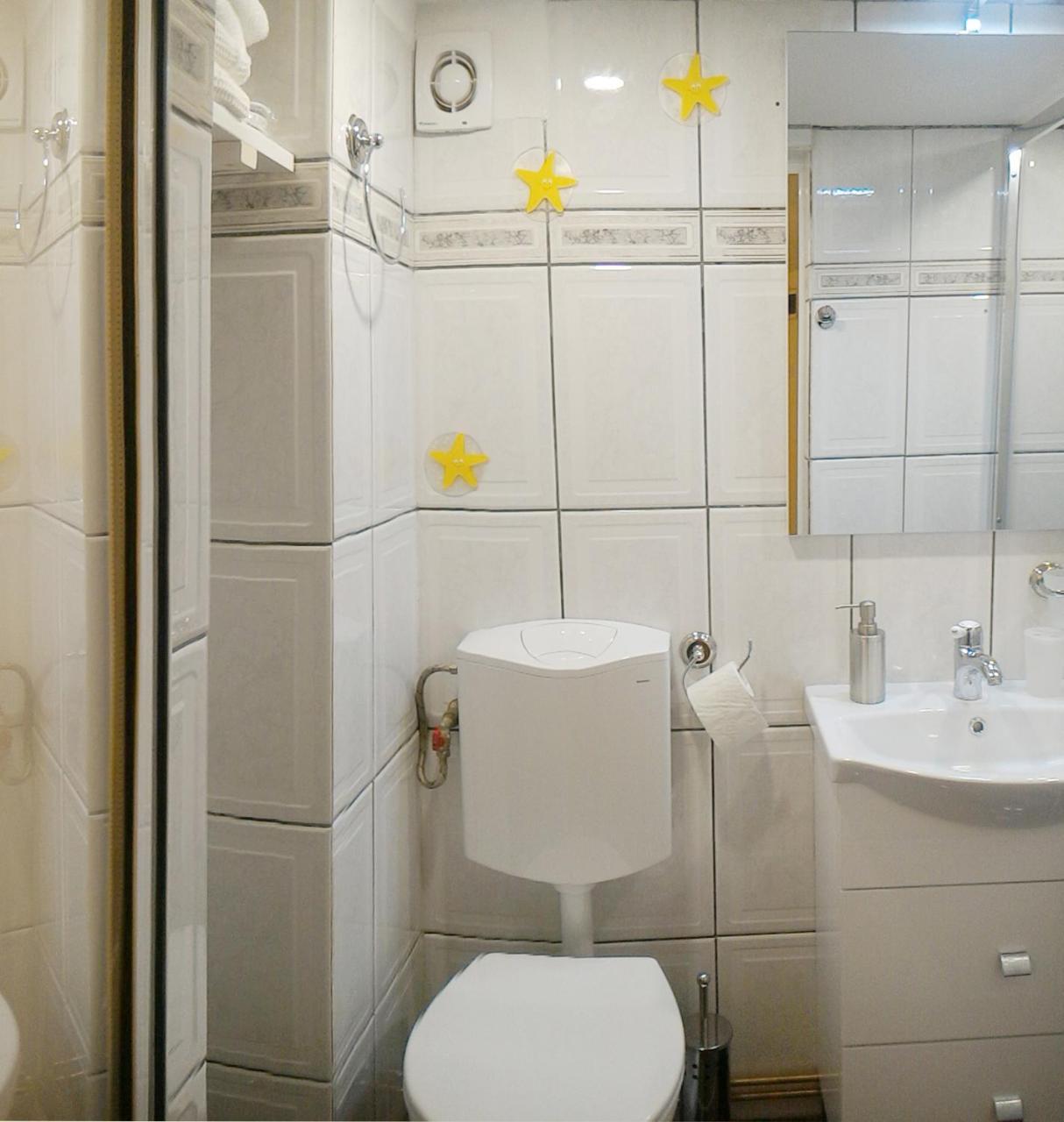 Republicii Rustic Apartament In Brasov City Center Exterior foto